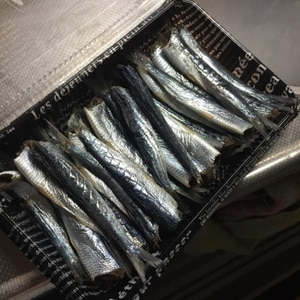 超簡単 片口いわし 小さい鰯の内臓のとり方 レシピ 作り方 By 9 10 楽天レシピ 超簡単 片口いわし 小さい鰯の内臓のとり方 レシピ 作り方 By 9 10 楽天レシピ